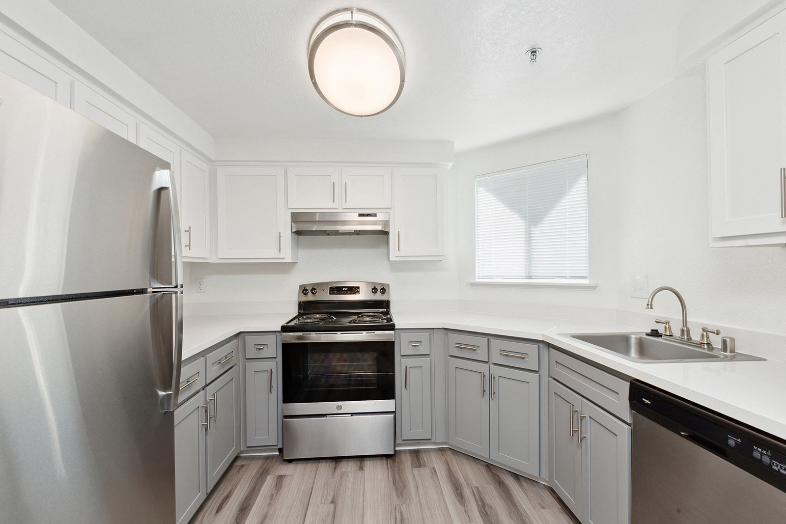 ReNew on Summerfield photo 2
